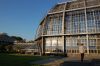 Berlin-Botanischer-Garten-110925-DSC_0253.JPG