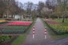 Niedersachsen-Winsen-Tulpenfest-2012-120424-DSC_0291.JPG