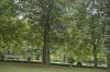 Schlosspark Ballenstedt-Sachsen-Anhalt-120901-DSC_0169.JPG