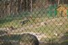 Wildpark-Lueneburg-120406-DSC_0321.JPG