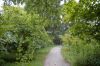 Botanischer-Garten-in-Dresden-2013-130813-DSC_0299.jpg