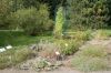 Botanischer-Garten-in-Dresden-2013-130813-DSC_0387.jpg