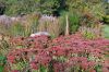 Winsener-Dahlienfest-2014-141005-DSC_0102.jpg