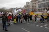 Wir-haben-die-Agrarindustrie-satt-Demo-Berlin-2017-170121-DSC_9804.jpg